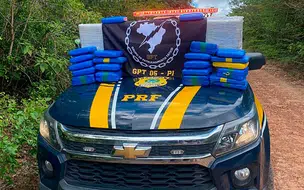 PRF apreende cerca de 90 quilos de skunk na BR-402, na Divisa do Piauí com o Maranhão