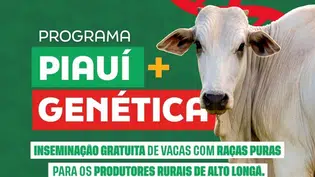Alto Longá adere ao Programa Piauí + Genética para fortalecer pecuária local