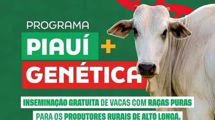 Alto Longá adere ao Programa Piauí + Genética para fortalecer pecuária local
