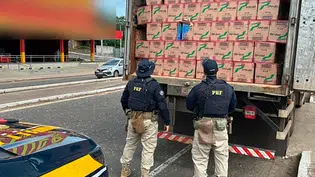 PRF apreende mais de meio milhão de cigarros contrabandeados em Teresina