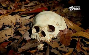Crânio humano é encontrado em área de matagal na zona Norte de Teresina