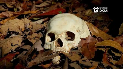 Crânio humano é encontrado em área de matagal na zona Norte de Teresina