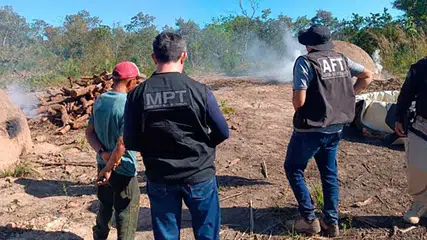 Operação resgata trabalhadores em condições análogas à escravidão em carvoaria no sul do Piauí