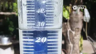 Coivaras registra 30 mm de chuva em dois dias e volume beneficia lavouras e reservatórios