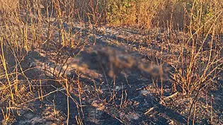 Ossada humana é encontrada próximo a aterro sanitário em Corrente
