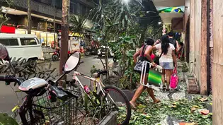 Ventania no Rio de Janeiro causa estragos e mortes nesta quarta-feira 29
