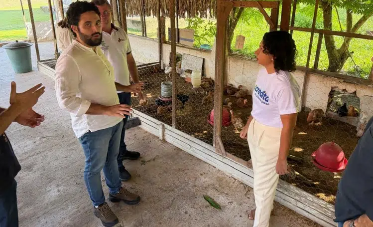 Piauí lança CODIPI COOP para fortalecer agricultura familiar e ampliar acesso ao mercado