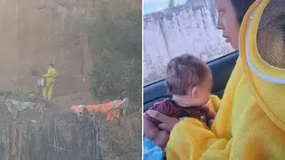 Mãe e bebê saõ salvos pelo corpo de bombeiros após ter casa invadida por enxame de abelhas em Oeiras