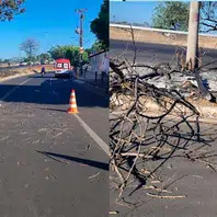 Mulher fica ferida após árvore em chamas cair sobre moto na BR-316 em Teresina