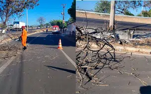 Mulher fica ferida após árvore em chamas cair sobre moto na BR-316 em Teresina