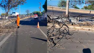 Mulher fica ferida após árvore em chamas cair sobre moto na BR-316 em Teresina