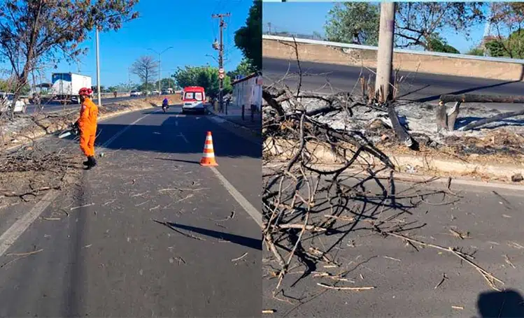 Mulher fica ferida após árvore em chamas cair sobre moto na BR-316 em Teresina