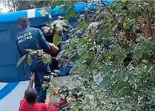 Acidente em trecho da BR-343 entre Altos e Campo Maior deixa passageiros de ônibus feridos