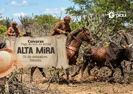 Coivaras terá grande disputa de pega de boi na moita com música ao vivo em setembro