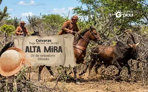 Coivaras terá grande disputa de pega de boi na moita com música ao vivo em setembro