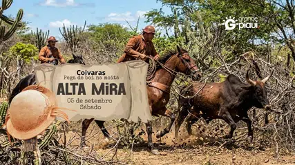 Coivaras terá grande disputa de pega de boi na moita com música ao vivo em setembro