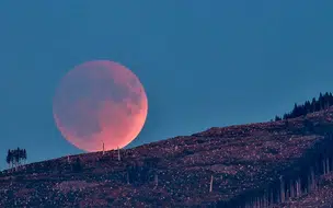 Agosto promete encantar astrônomos: eclipse solar, Perseidas e eclipse lunar iluminam o céu