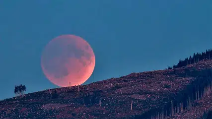 Agosto promete encantar astrônomos: eclipse solar, Perseidas e eclipse lunar iluminam o céu