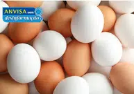 Fake News: Anvisa nega alerta sobre presença de plástico ou petróleo em ovos