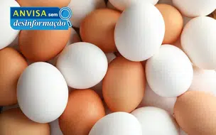 Fake News: Anvisa nega alerta sobre presença de plástico ou petróleo em ovos
