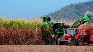 Câmara aprova redução de tributos sobre combustíveis e medidas para biocombustíveis