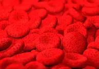 Brasil é o primeiro país a aprovar medicamento para anemia hemolítica autoimune