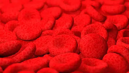 Brasil é o primeiro país a aprovar medicamento para anemia hemolítica autoimune