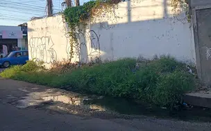 Mato e restos de obra bloqueiam calçada e geram reclamações no Mocambinho II em Teresina
