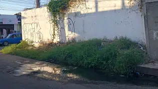 Mato e restos de obra bloqueiam calçada e geram reclamações no Mocambinho II em Teresina