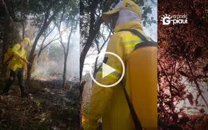 Brigada Municipal de Coivaras atua contra incêndio no Assentamento Nossa Terra
