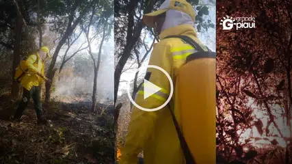 Brigada Municipal de Coivaras atua contra incêndio no Assentamento Nossa Terra