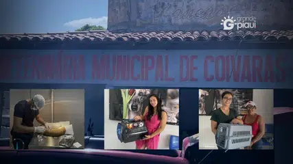 Clínica Veterinária Municipal realiza castração de cães e gatos em Coivaras