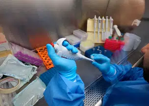 Pesquisa da UFPI e UFPB obtém resultados favoráveis para tratamento de câncer cerebral agressivo