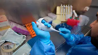 Pesquisa da UFPI e UFPB obtém resultados favoráveis para tratamento de câncer cerebral agressivo