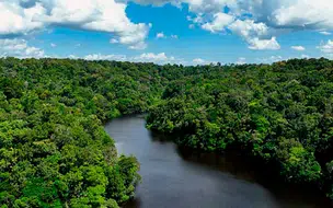 Amazônia registra alta de mais de 3°C nas temperaturas extremas, revela pesquisa