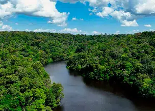 Amazônia registra alta de mais de 3°C nas temperaturas extremas, revela pesquisa