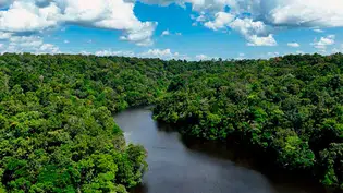 Amazônia registra alta de mais de 3°C nas temperaturas extremas, revela pesquisa