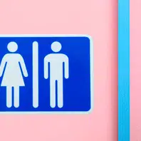 MPF apura restrição de acesso de pessoas trans e travestis a banheiros em Teresina