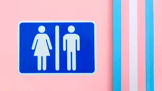 MPF apura restrição de acesso de pessoas trans e travestis a banheiros em Teresina