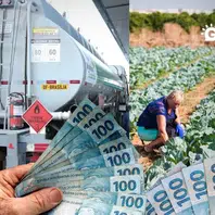Governo libera R$ 6,98 bilhões para combustíveis e agricultura familiar