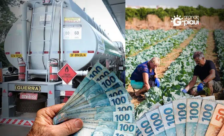 Governo libera R$ 6,98 bilhões para combustíveis e agricultura familiar