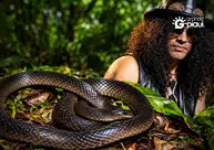 Nova espécie de cobra da Nova Guiné é batizada em homenagem a Slash