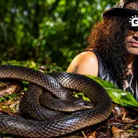 Nova espécie de cobra da Nova Guiné é batizada em homenagem a Slash