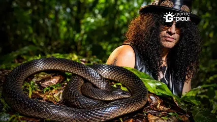 Nova espécie de cobra da Nova Guiné é batizada em homenagem a Slash