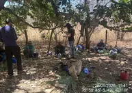 Trabalhadores em situação análoga à de escravidão são resgatados em três municípios do Piauí