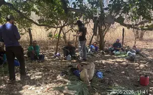 Trabalhadores em situação análoga à de escravidão são resgatados em três municípios do Piauí