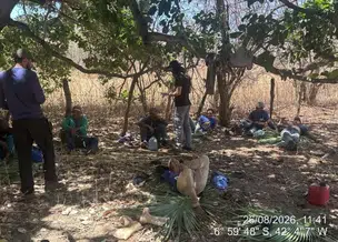 Trabalhadores em situação análoga à de escravidão são resgatados em três municípios do Piauí