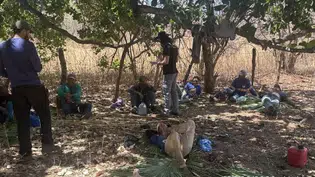 Trabalhadores em situação análoga à de escravidão são resgatados em três municípios do Piauí