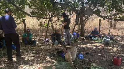 Trabalhadores em situação análoga à de escravidão são resgatados em três municípios do Piauí